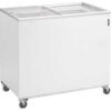 Eurofred Arcón Congelador IC 300 SC