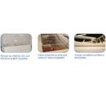 Edenox Congelador Horizontal Puerta Abatible NLF-120 - Imagen 2