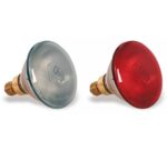 Pujadas Bombilla Philips