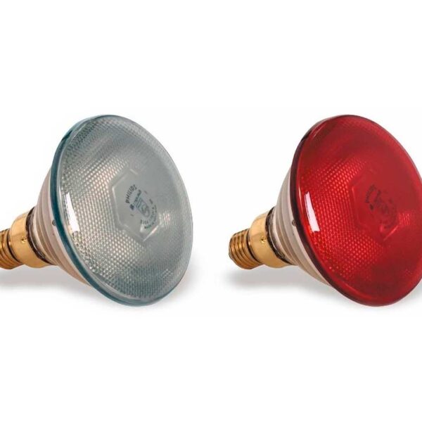 Pujadas Bombilla Philips