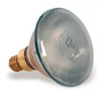 Pujadas Bombilla Philips - Imagen 3