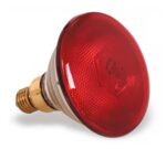 Pujadas Bombilla Philips - Imagen 2