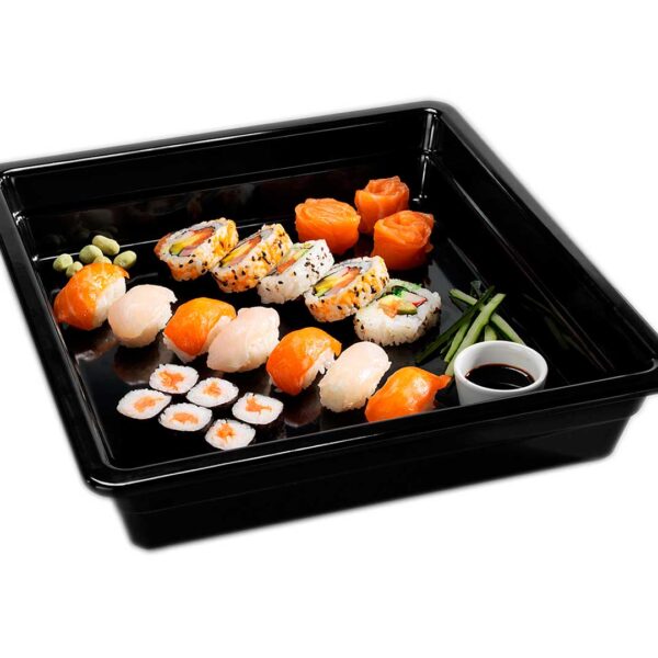 Pujadas Cubeta Melamina GN 2/3