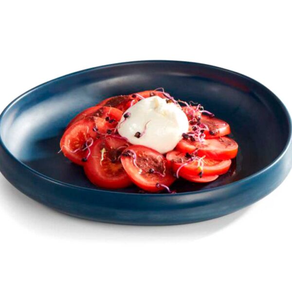 Pujadas Plato Presentación Melamina Deep Blue